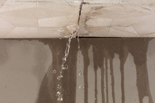Professional Structural Drying technician working in Brentwood, CA